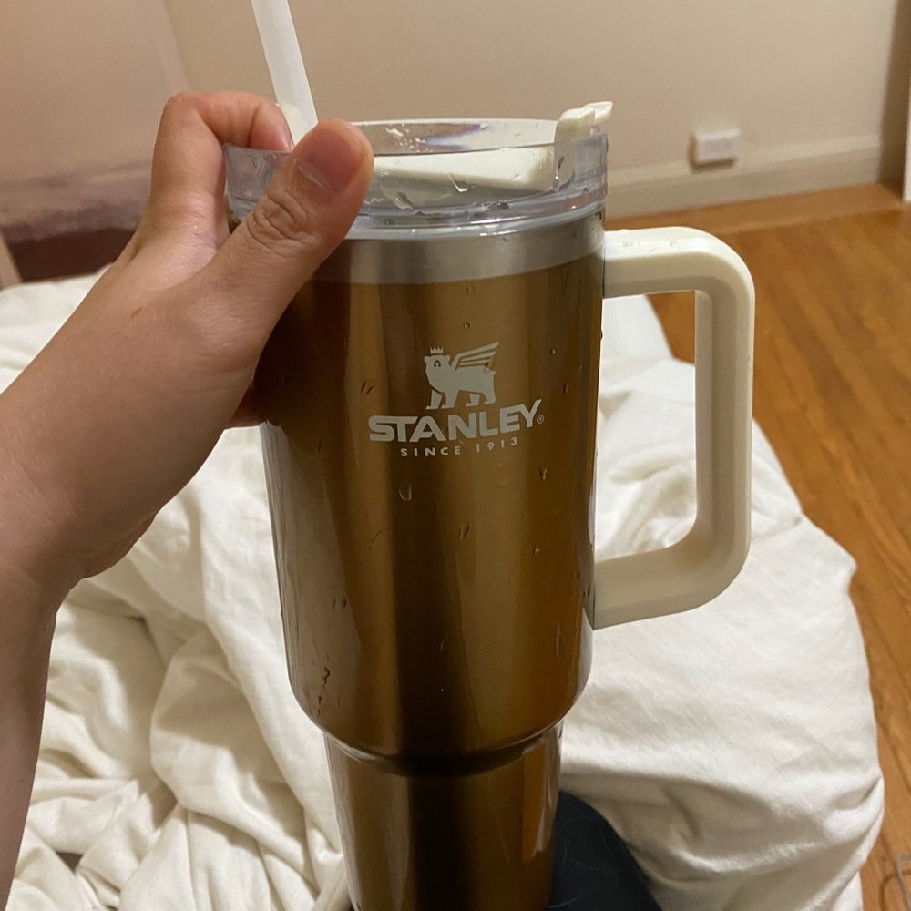 Stanley Quencher H2.0 FlowState rose quartz limited edition